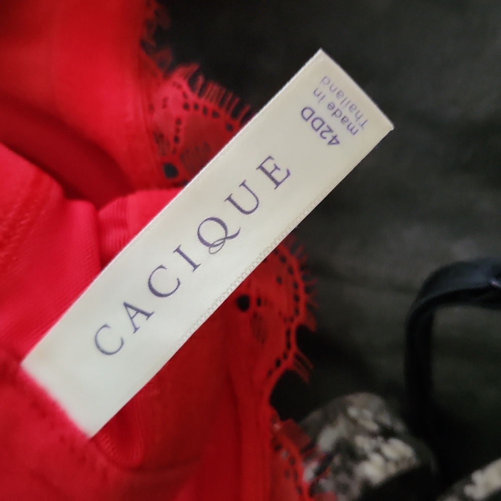 Cacique - Picture 3 of 3